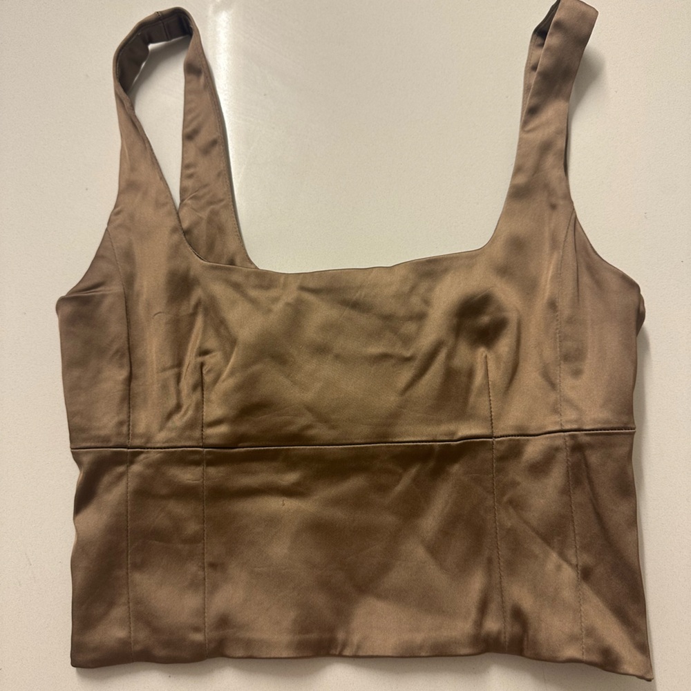 Aritzia Wilfred Shine Satin Bustier